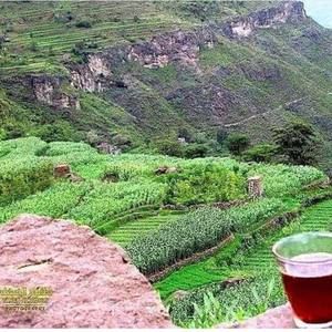Meet your Posher, Yemen